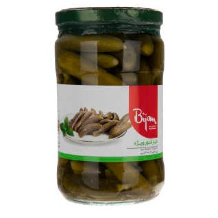 خیار شور ویژه 680 گ بیژن