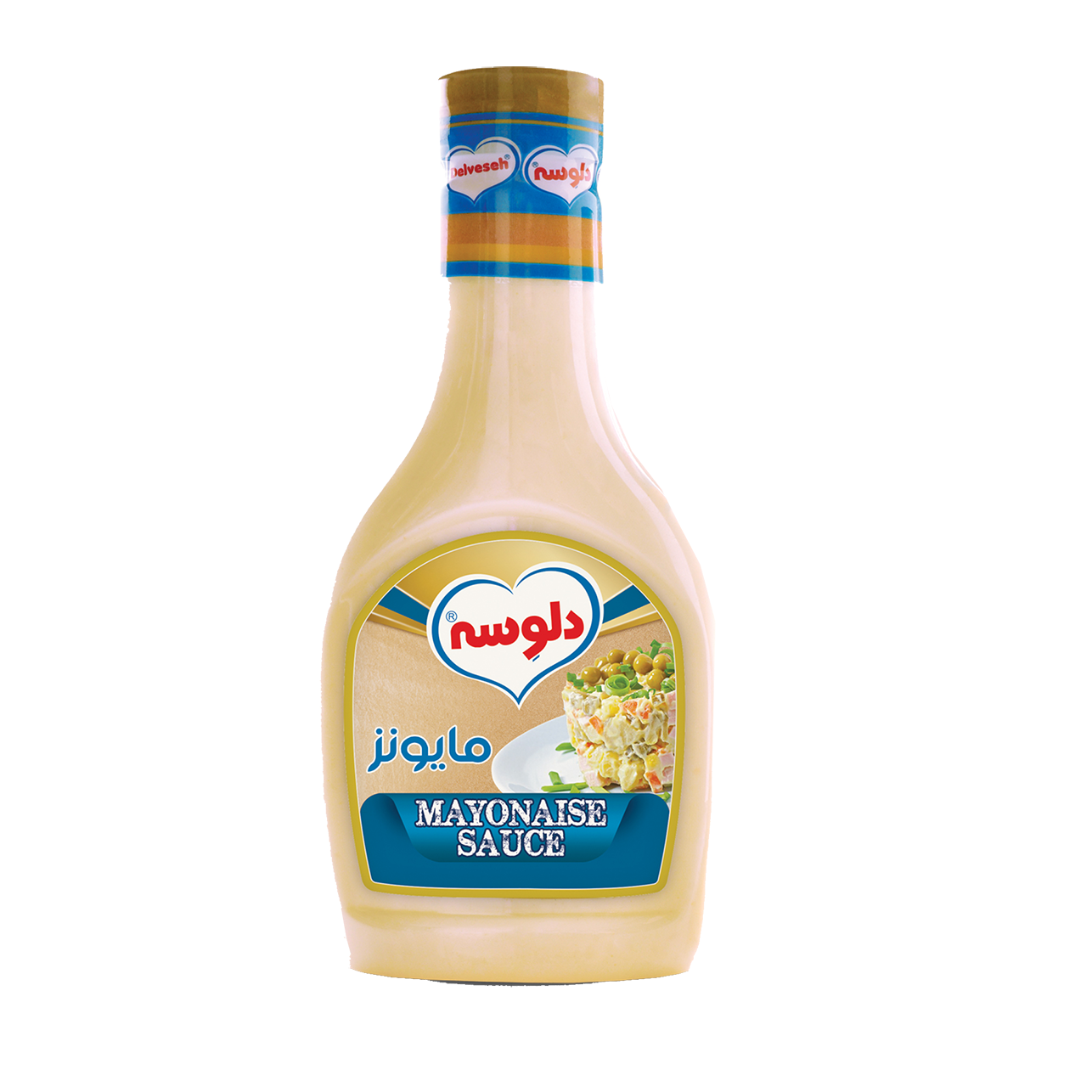سس مایونز پت 480 گ دلوسه