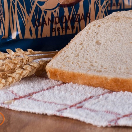 نان تست پروتئین گندم زار